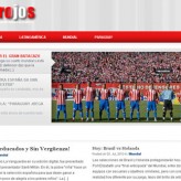 Diseño Web: Albirrojos