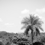 Paraguay Paraguay
