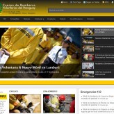 Cuerpo de Bomberos Voluntarios del Paraguay